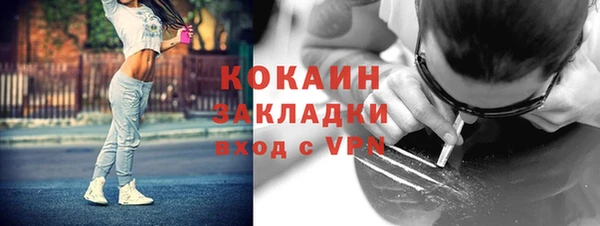 хмурый Арсеньев