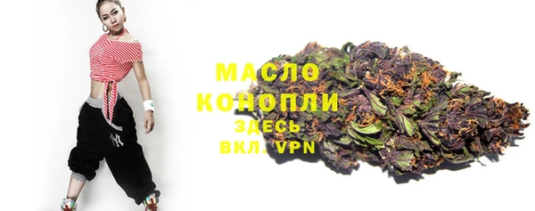 хмурый Арсеньев
