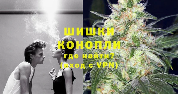 хмурый Арсеньев