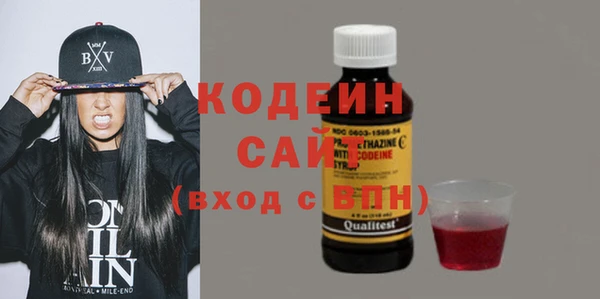 хмурый Арсеньев