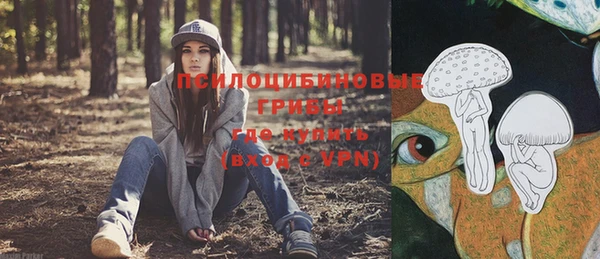 хмурый Арсеньев
