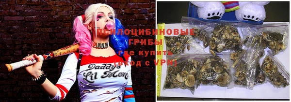 хмурый Арсеньев