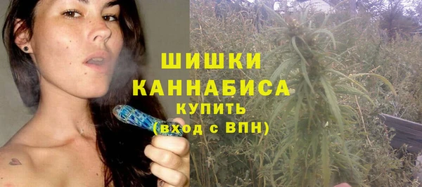 хмурый Арсеньев